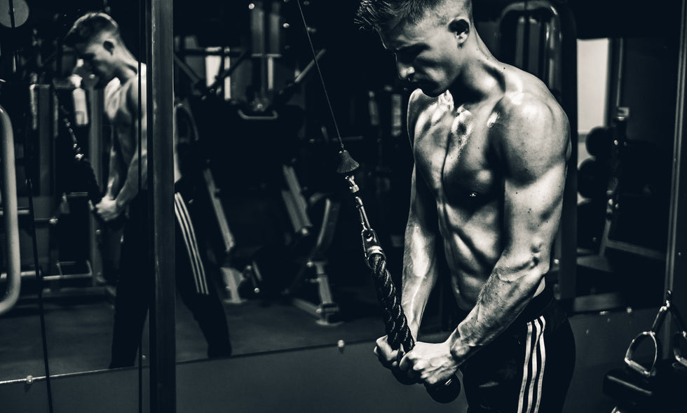 Schneller Muskelaufbau durch Massephasen: 7 Tipps & Tricks!