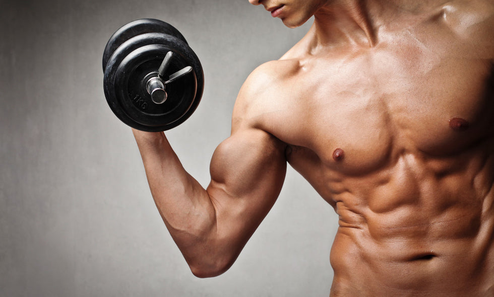 Fettfreier Muskelaufbau - lean muscles